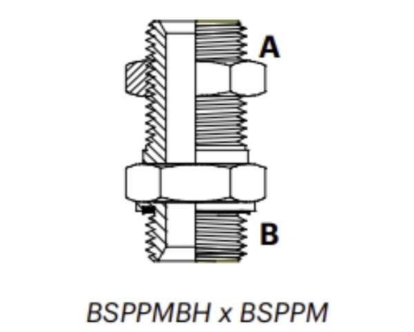 P10M - BSPPM X BSPPM Bulkhead