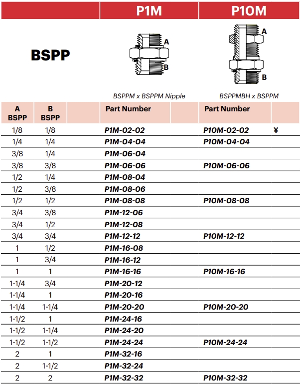 P10M - BSPPM X BSPPM Bulkhead