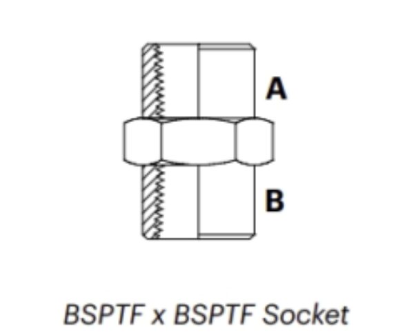 B1F - BSPTF x BSPTF Socket