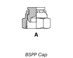 BC – BSPP Cap