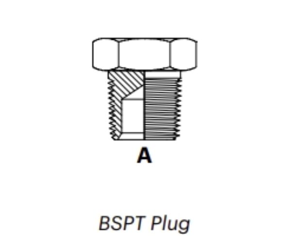 BP - BSPT Plug