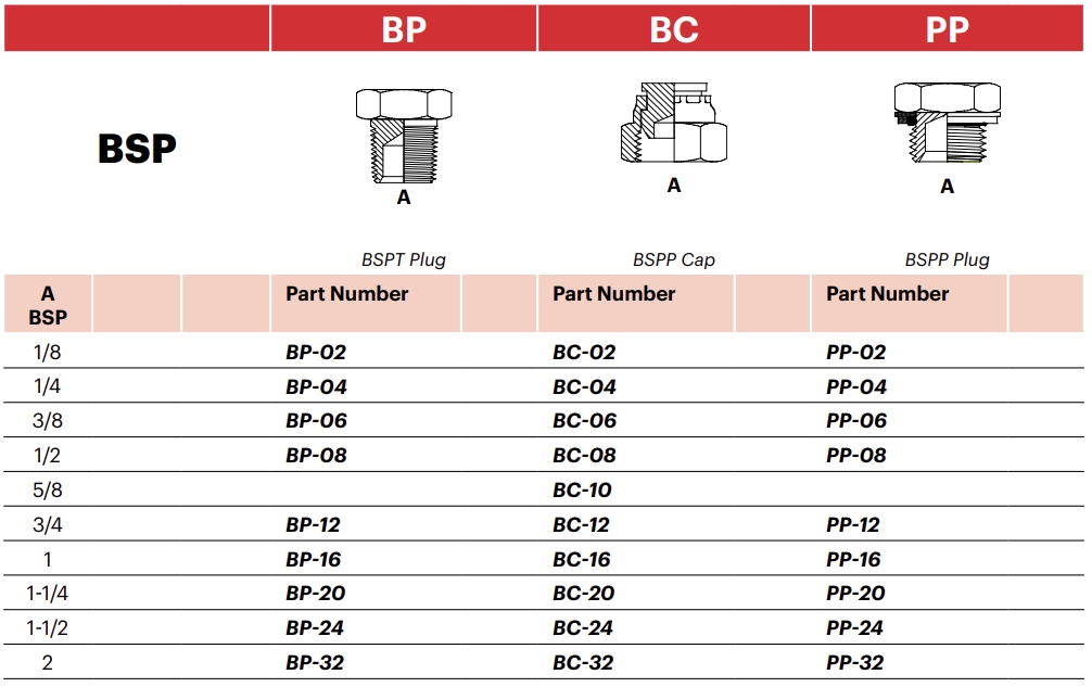 BP - BSPT Plug