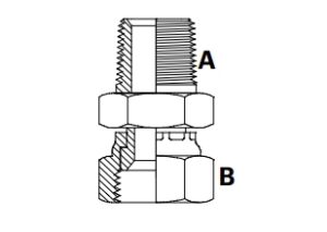 Male/Female