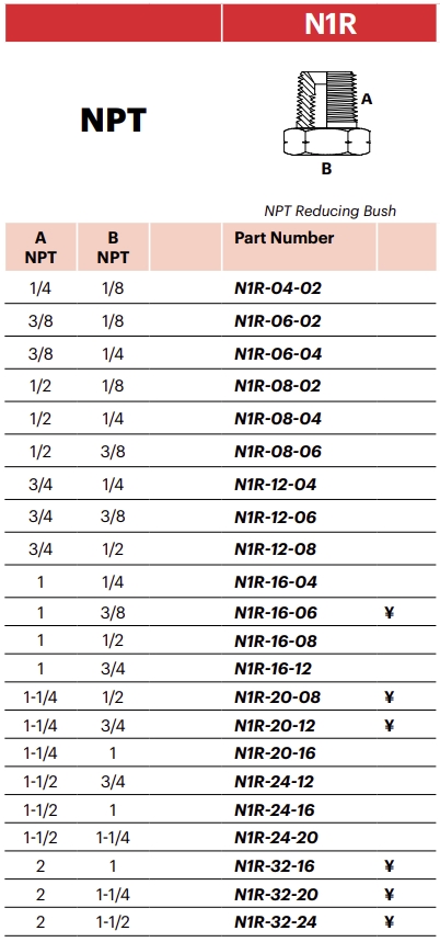 N1R - NPT Reducing Bush