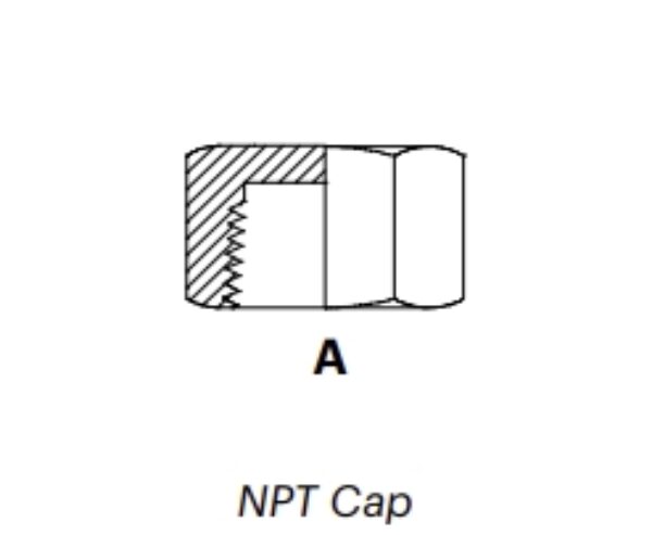 NC - NPT Cap