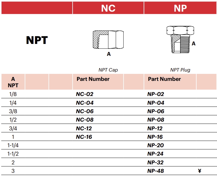 NP - NPT Plug